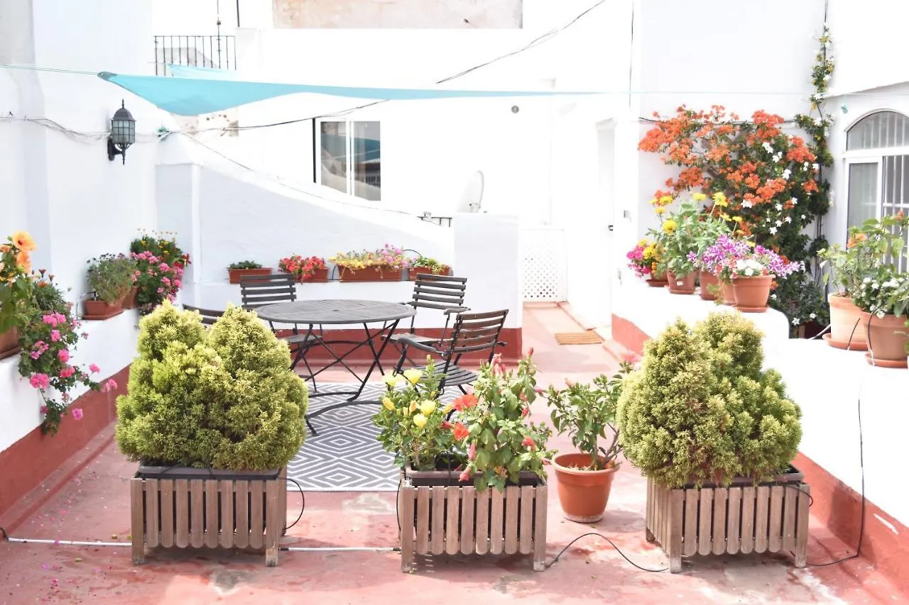 Apartamento La Discusión de Veedor 12 Cádis